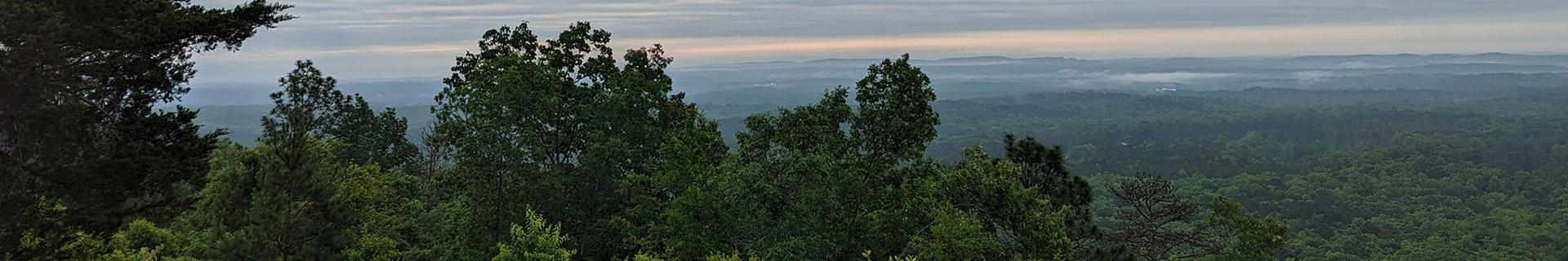 Pine Mountain View