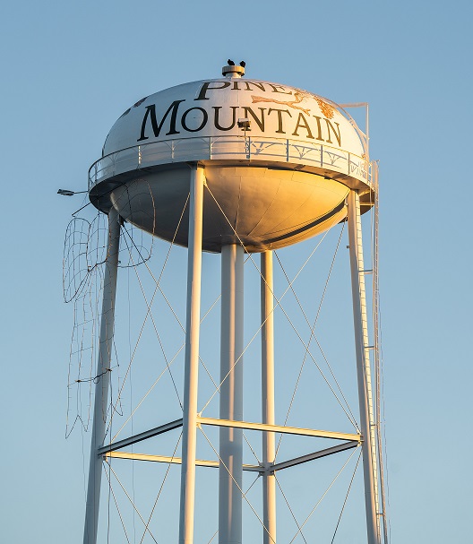 Water Tower